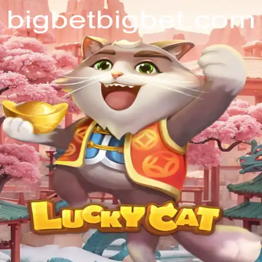 big bet Casino App