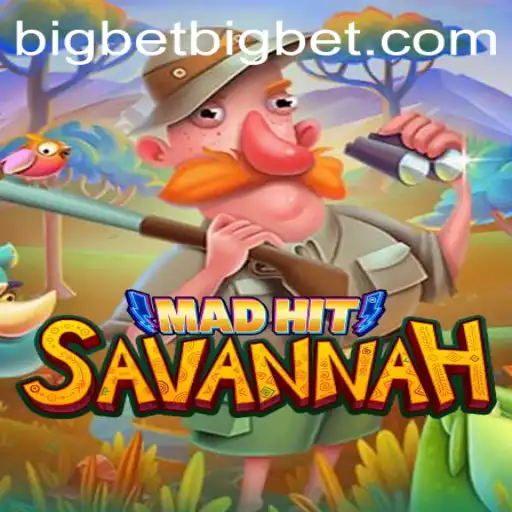 big bet Casino App