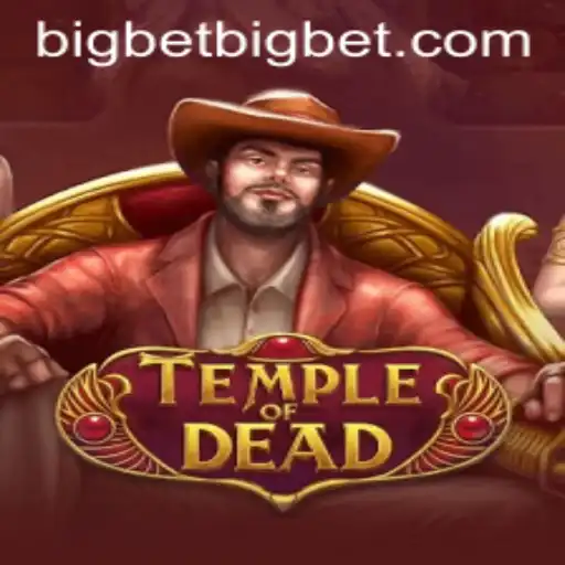 big bet Casino App