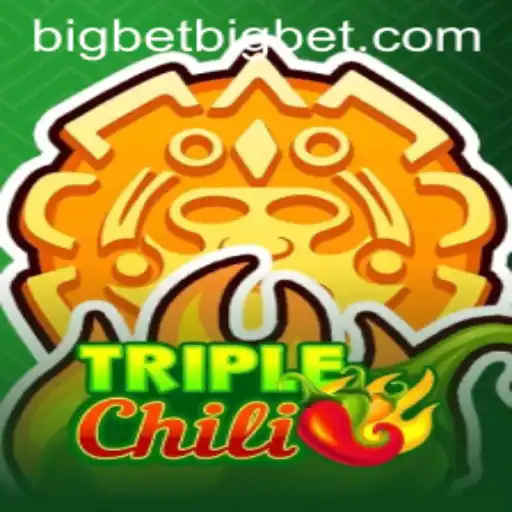 big bet Casino App
